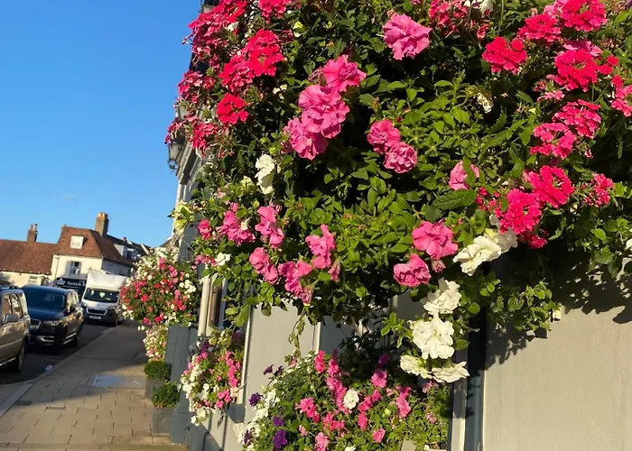 The Swan Hotel, Alresford