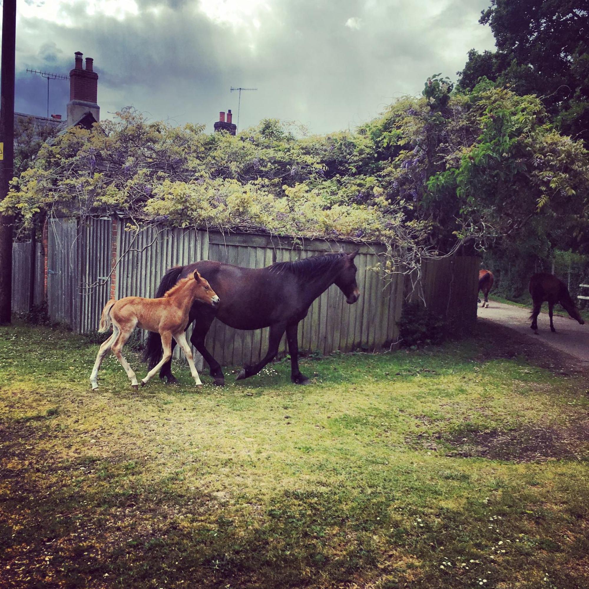 9 Top-Rated Family-Friendly Hotels in Hampshire