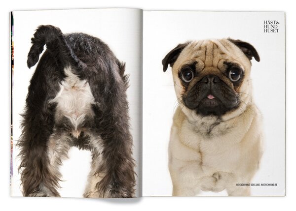 50 Genius Advertisements Featuring Animals